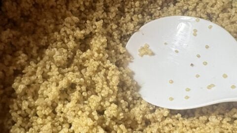 Homepage - Gabe's Grubs 3 Vegetarian Quinoa Salad Recipe
