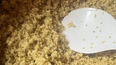 Vegetarian Quinoa Salad Recipe